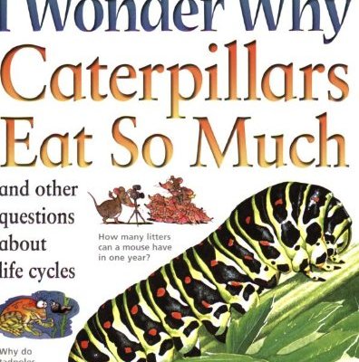I Wonder Why Caterpillars Eat So Much