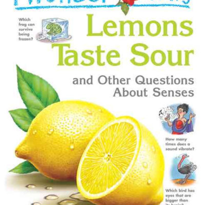 I Wonder Why Lemons Taste Sour