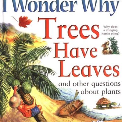 I Wonder Why Trees Have Leaves