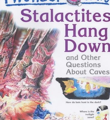 I Wonder Why Stalactites Hang Down